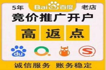 百度竞价代运营公司成功案例解析
